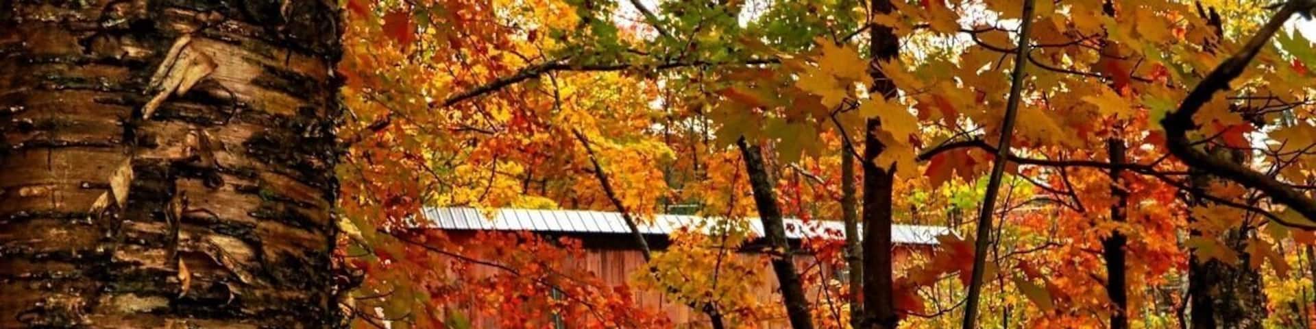 Partially covered Bridge in Vermont
Autumn has arrived #GreatOutdoors