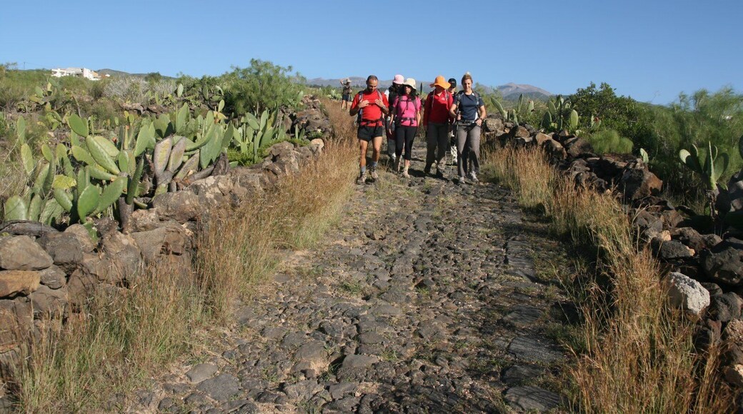 Camino San Miguel - Buzanada