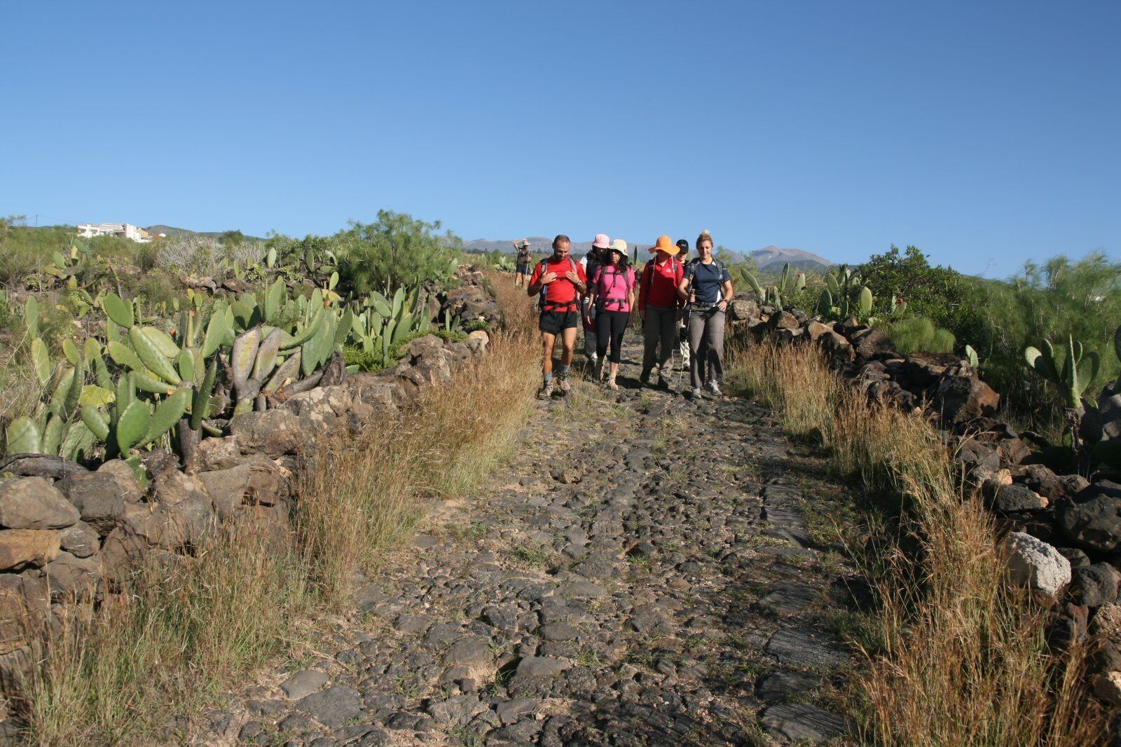 A rocky trail with cacti and sparse vegetation, surrounded by hills.