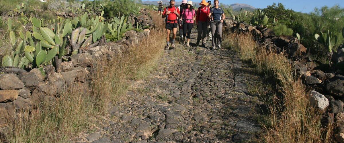 A rocky trail with cacti and sparse vegetation, surrounded by hills.