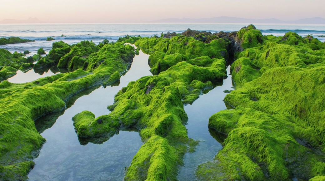 Praia de Patos en Panxón, concello de Nigrán.