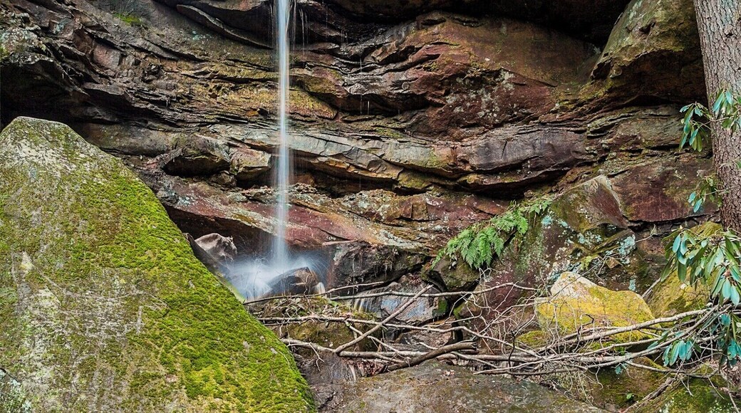 Just a tucked away tiny waterfall in the gorge.