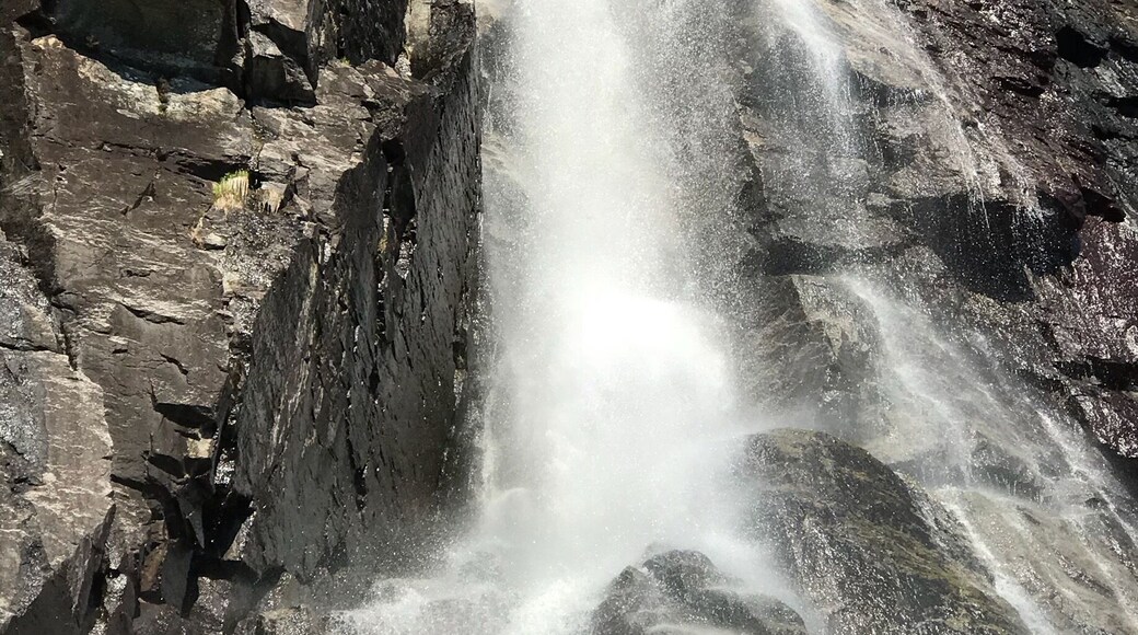 Beautiful Norwegian fjord cruise in the sunshine ☀️
