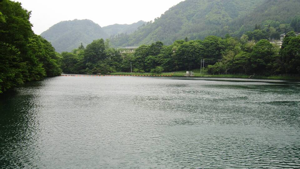 A calm river surrounded by lush green hills and dense forests.