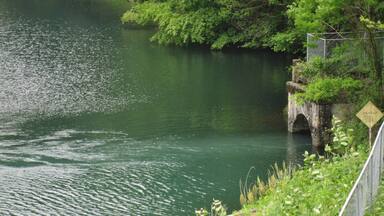 A river with a bridge and greenery.