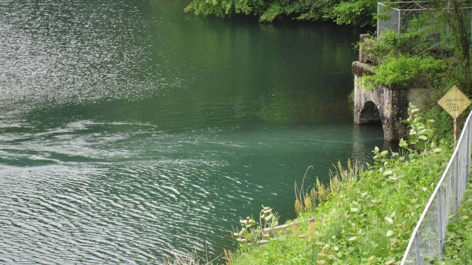 A river with a bridge and greenery.