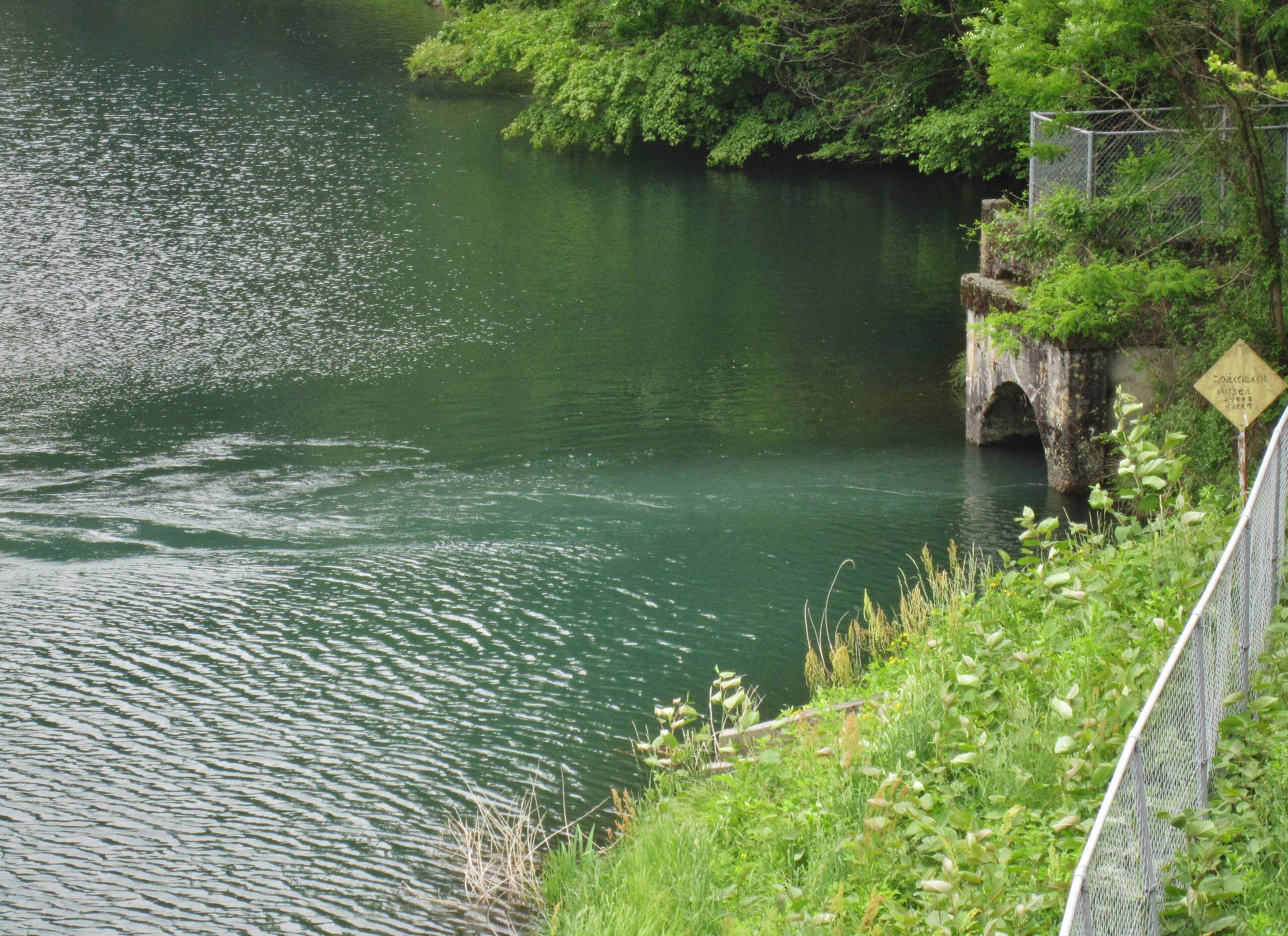 A river with a bridge and greenery.