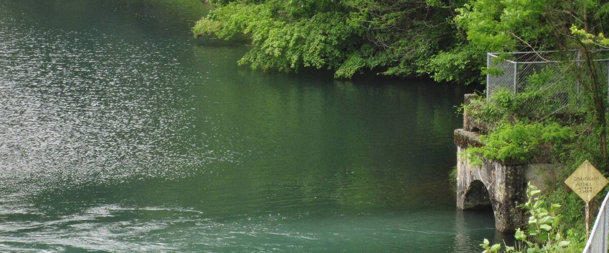 A river with a bridge and greenery.