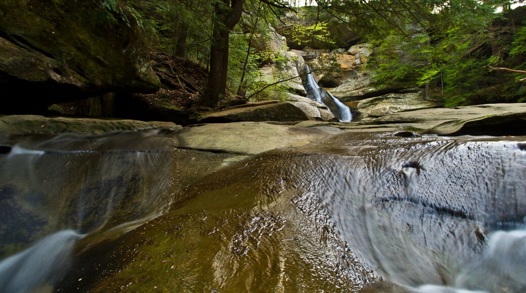 Cedar Falls and Cascades