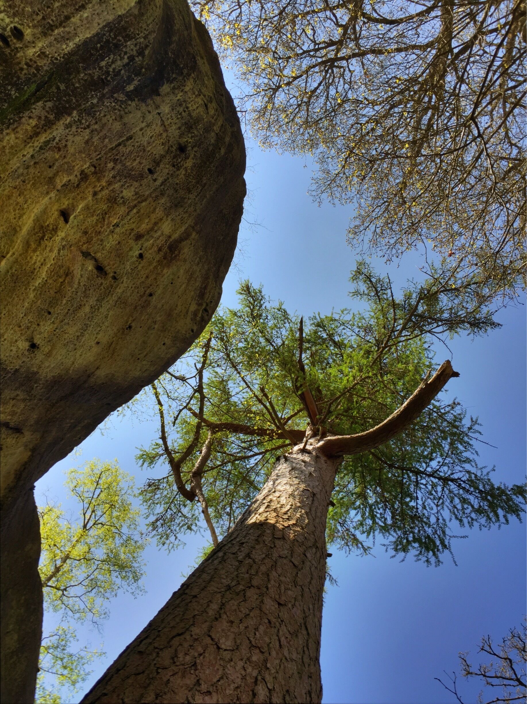 May 2015

At Harrison's Rocks one of several sandstone rock formations used by climbers for learning the ropes!