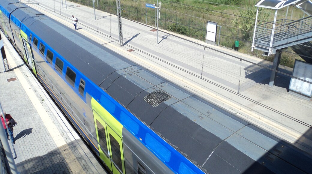 Elettrotreno TAF - Stazione di Fiera di Roma