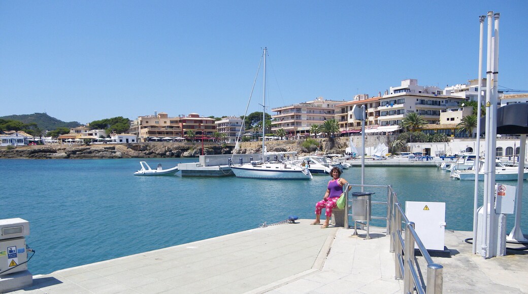 Desde Espigón del Puerto