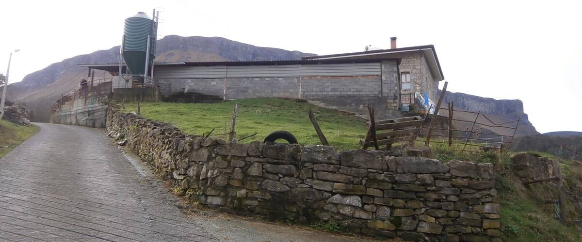 A rural road leading to a stone building with a green silo and a stone wall.