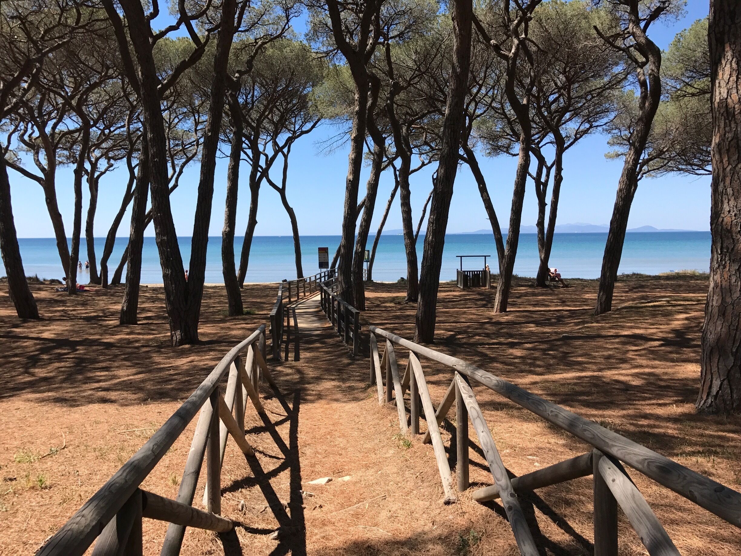 A wooden pathway leading to a beach with trees and a clear view of the sea.