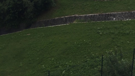I love this little town. We’ve spent 5 months of our lives here over the last few years picking and drying flowers for a small business. On our days off we hike into the surrounding #mountains to pick mushrooms and see craters left from both great wars.