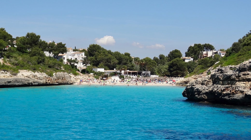 Cala Anguila in der Gemeinde Manacor, Mallorca, Spanien