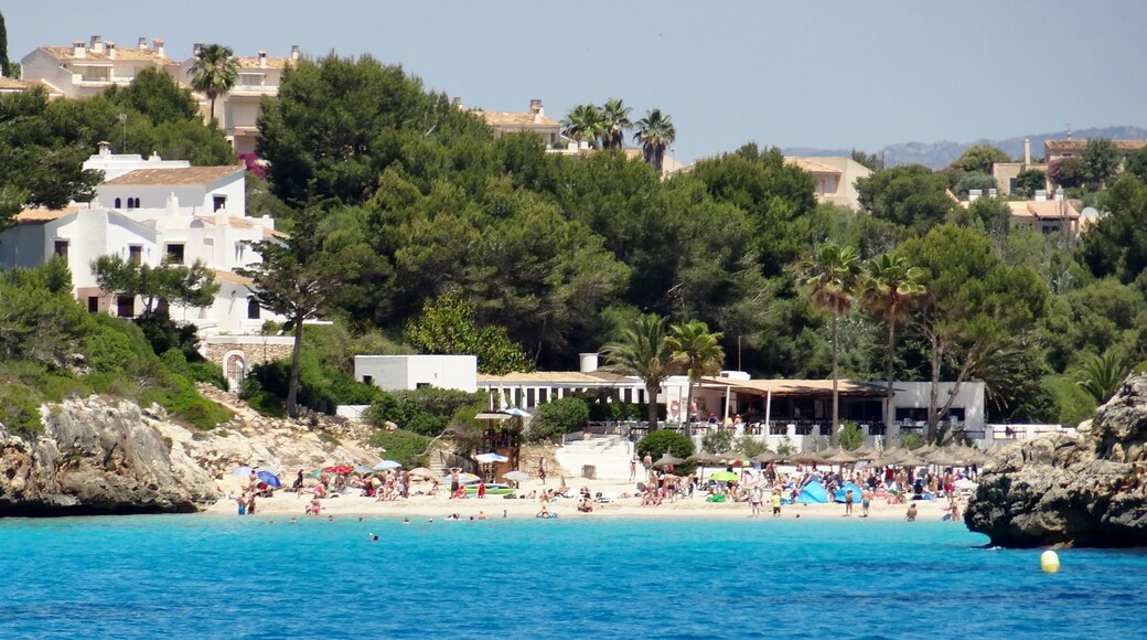 Cala Anguila in der Gemeinde Manacor, Mallorca, Spanien