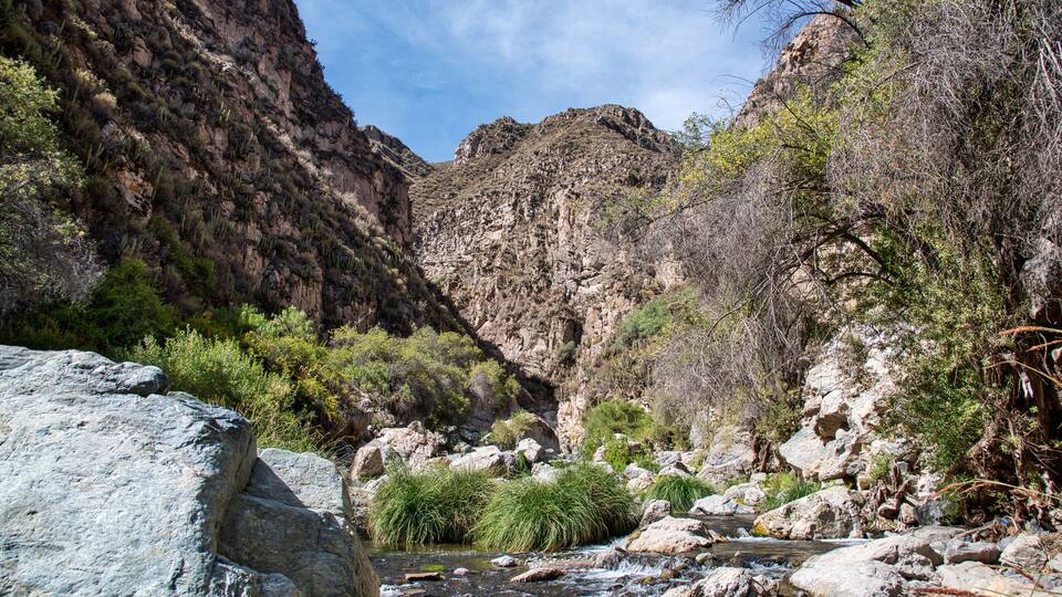 A rocky canyon with a flowing river and dense vegetation.
