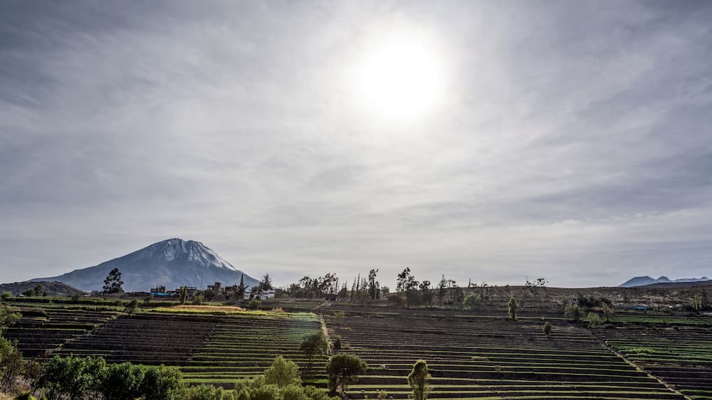 Terraced fields, a mountain, and a cloudy sky.
