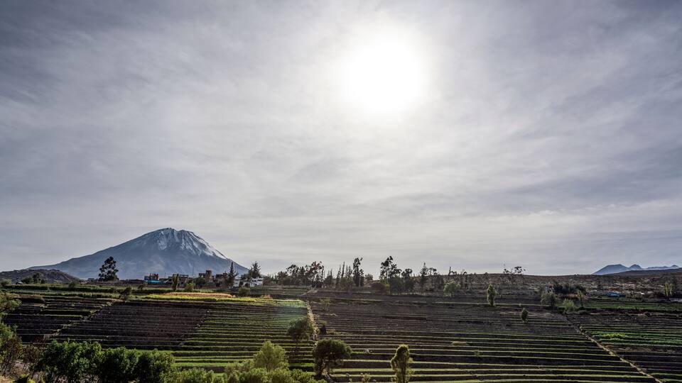 Terraced fields, a mountain, and a cloudy sky.