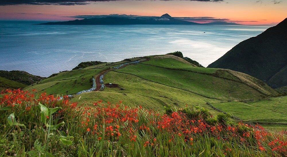 A coastal landscape with rolling hills, a winding path, and a view of the ocean at sunset.