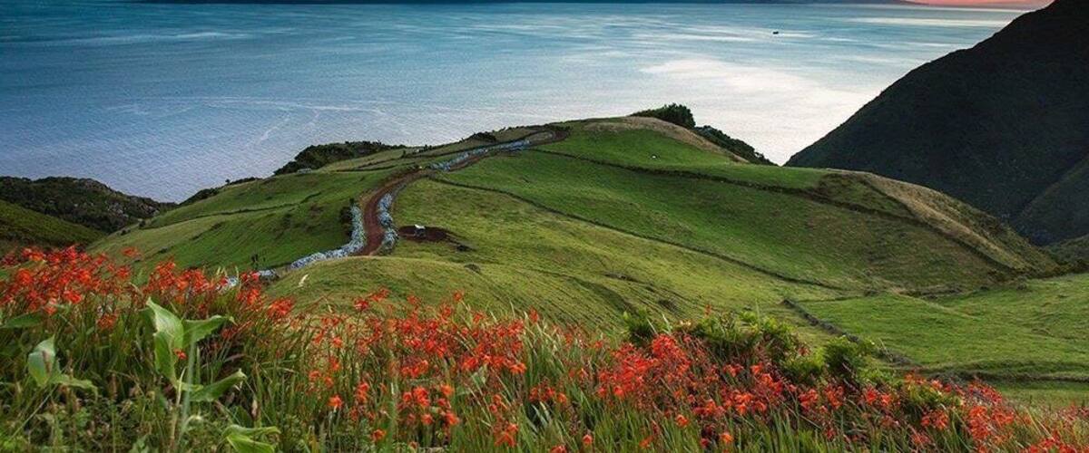 A coastal landscape with rolling hills, a winding path, and a view of the ocean at sunset.