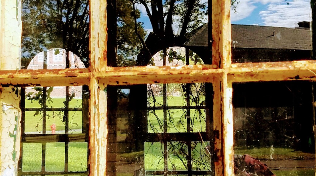 Thought this reflection in the abandoned Olivet University in Wingdale, NY was pretty cool. The inside of the building were overgrown with all kinds of plants and the way the tree behind me reflected in the glass made it harder to tell what was inside and what was out.
#culture #culturephotocontest