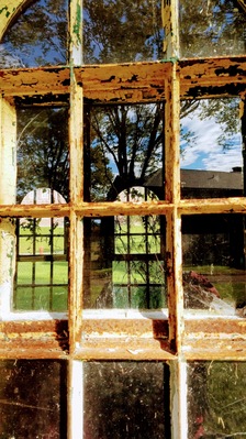 Thought this reflection in the abandoned Olivet University in Wingdale, NY was pretty cool. The inside of the building were overgrown with all kinds of plants and the way the tree behind me reflected in the glass made it harder to tell what was inside and what was out.
#culture #culturephotocontest
