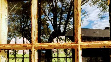 Thought this reflection in the abandoned Olivet University in Wingdale, NY was pretty cool. The inside of the building were overgrown with all kinds of plants and the way the tree behind me reflected in the glass made it harder to tell what was inside and what was out.
#culture #culturephotocontest