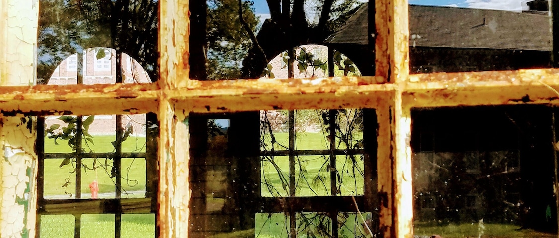 Thought this reflection in the abandoned Olivet University in Wingdale, NY was pretty cool. The inside of the building were overgrown with all kinds of plants and the way the tree behind me reflected in the glass made it harder to tell what was inside and what was out.
#culture #culturephotocontest
