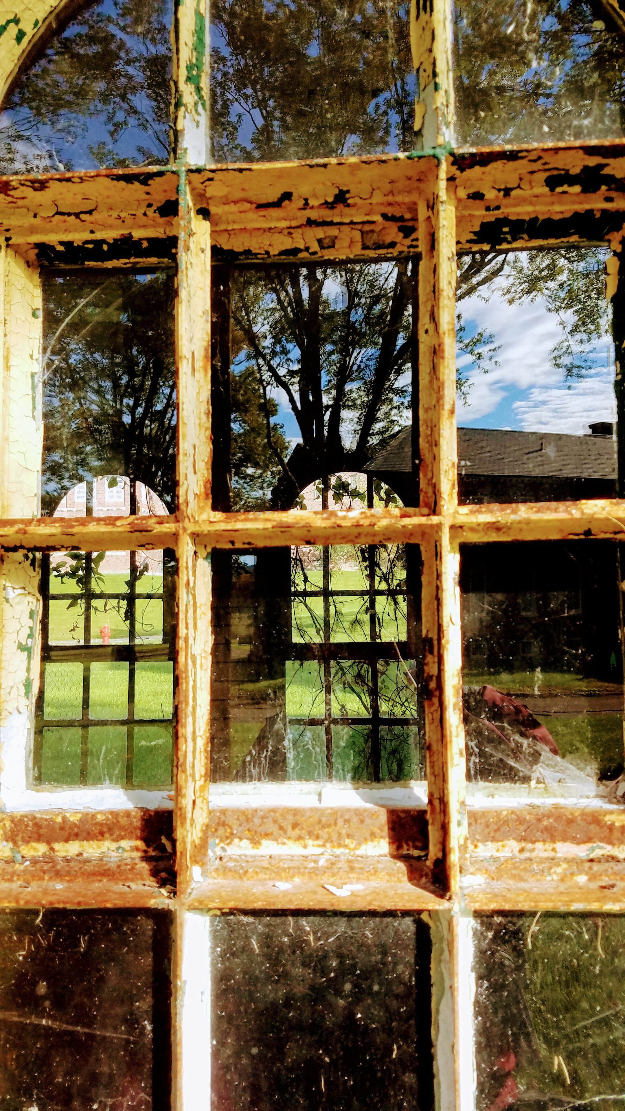 A weathered window with a view of trees and a building in the background.