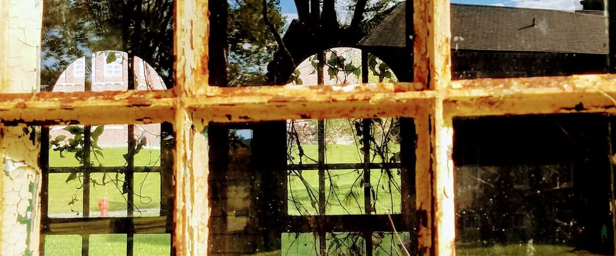 A weathered window with a view of trees and a building in the background.