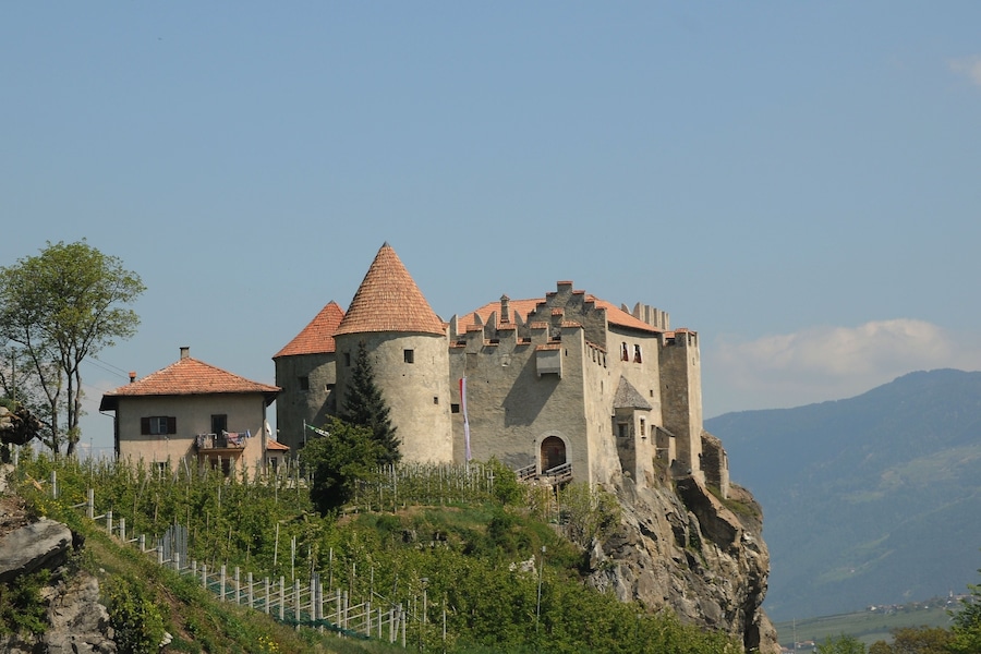 Eine Burg auf einem Hügel mit rotem Dach, umgeben von Grünpflanzen und Bergen im Hintergrund.
