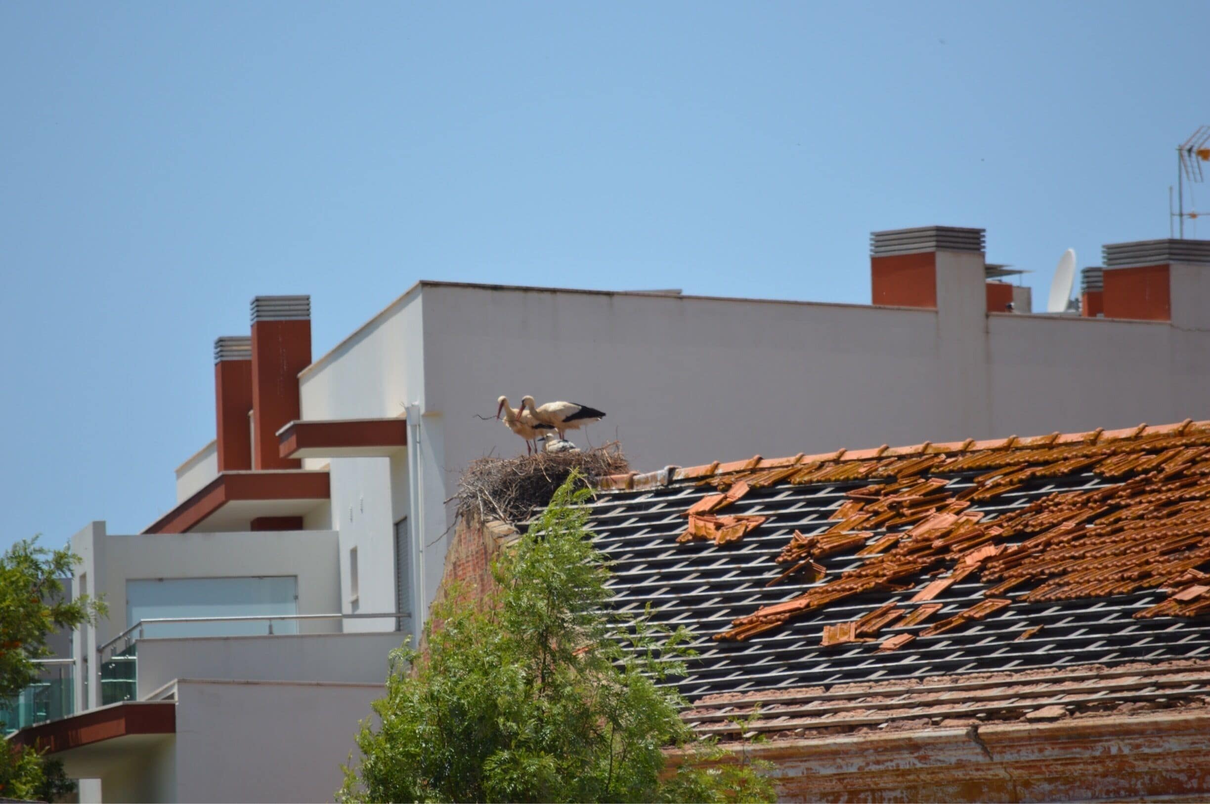 Beautiful Castro, lovely town