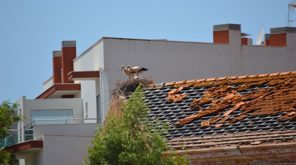 Beautiful Castro, lovely town