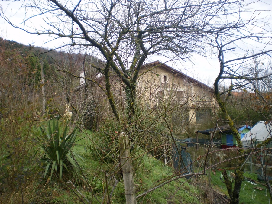 01479 Izoria, Araba, Spain