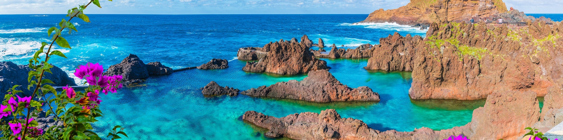 Un paisaje costero con aguas turquesas cristalinas, formaciones rocosas y flores púrpuras vibrantes.