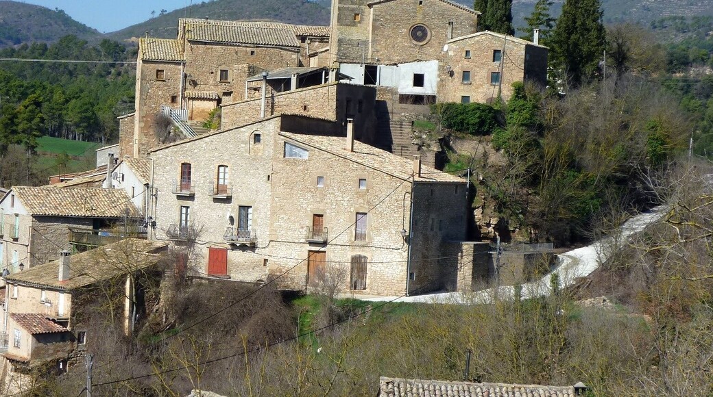 Sant Pere de Vallmanya (Pinós): vista de conjunt