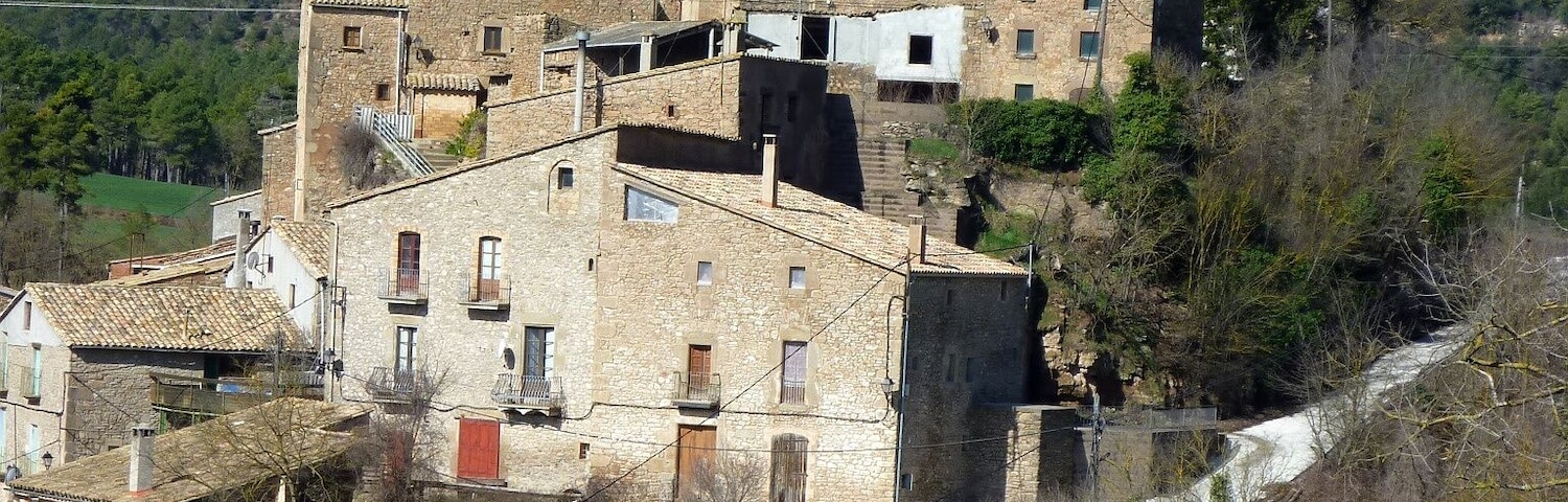 Sant Pere de Vallmanya (Pinós): vista de conjunt