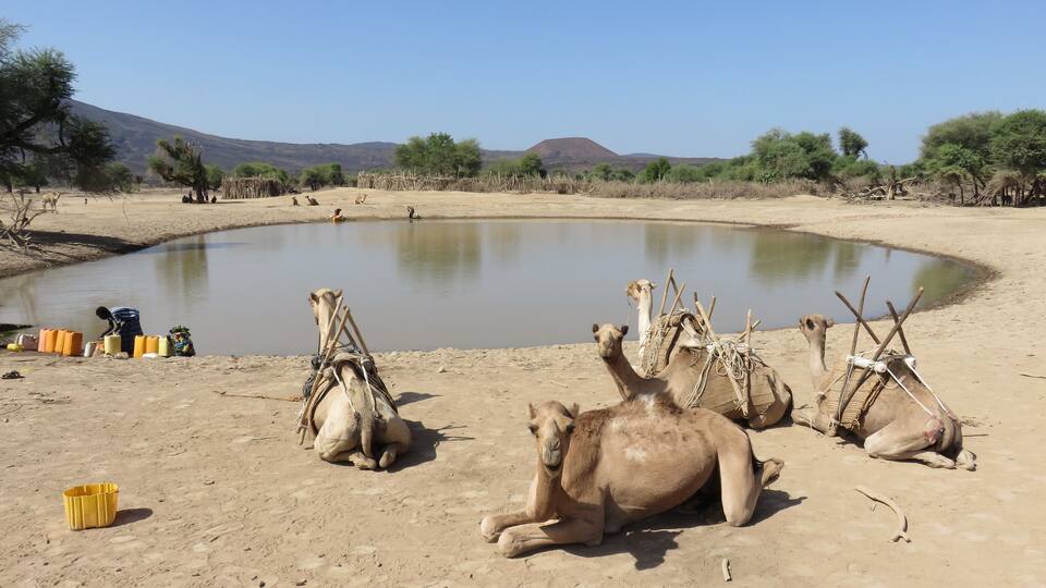 Point d'eau dans la plaine d'Andaba, au nord de la République de Djibouti
