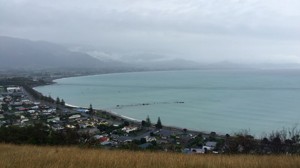 Small but beautiful town. Tons to do. Sadly my seal encounter got cancelled due to weather, but my dolphin encounter was the best thing I've ever done in my entire life. And I heard the whale watching was also phenomenal. When I get back to NZ (hopefully one day), I'll definitely be doing all 3 and spending more time here!