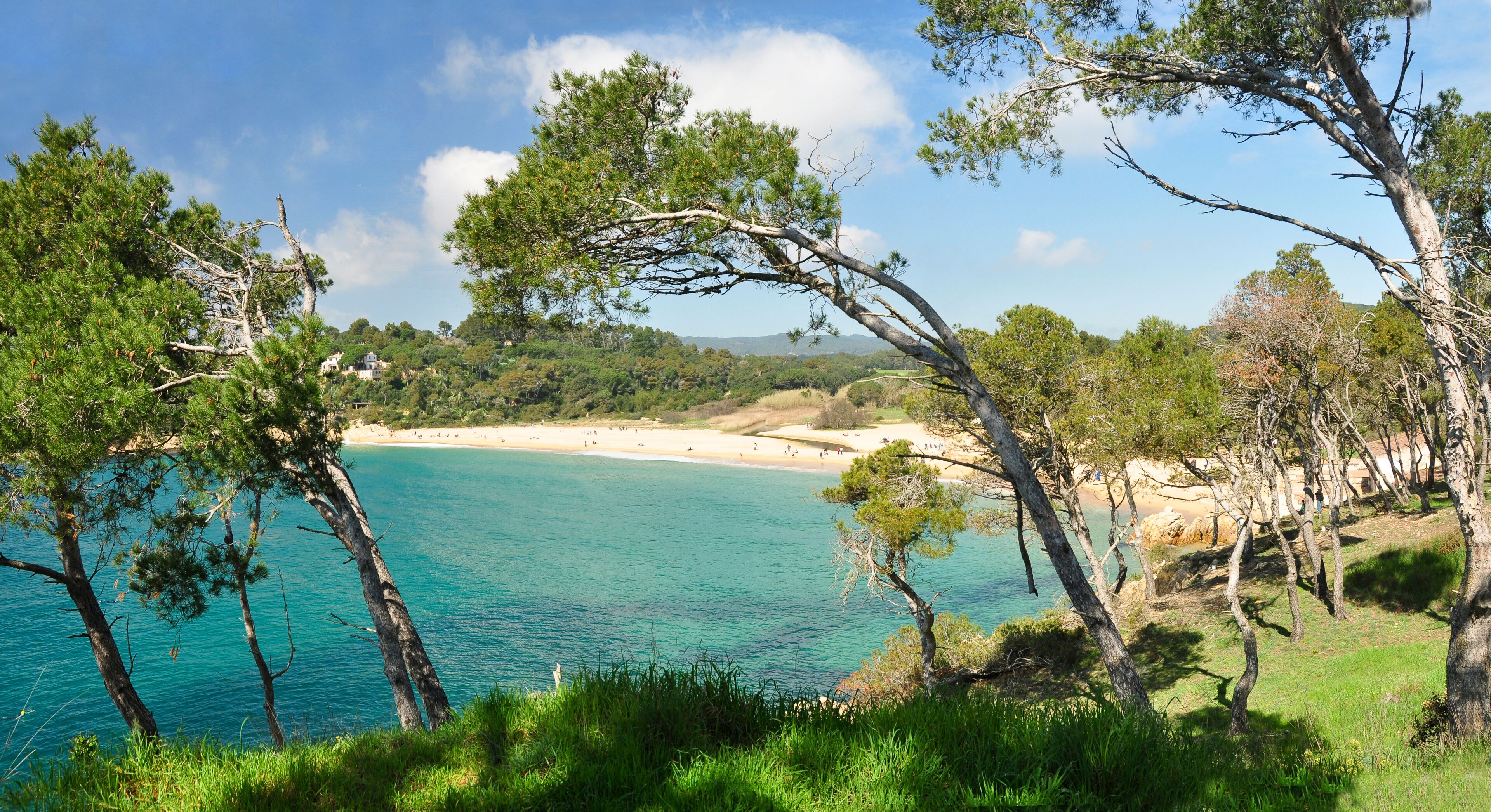 A coastal landscape with clear turquoise waters, sandy beach, and dense pine trees.