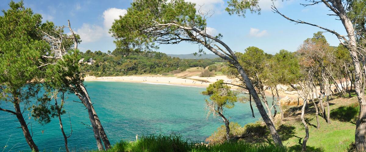A coastal landscape with clear turquoise waters, sandy beach, and dense pine trees.
