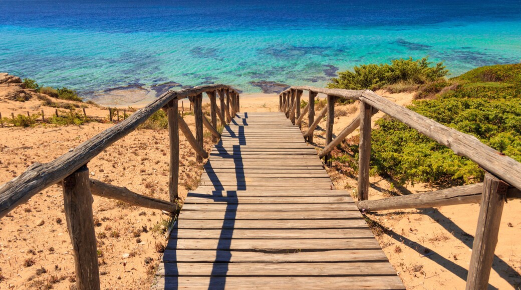 The most beautiful beaches of Italy. Campomarino dune park: fence between sea dunes,Taranto (Apulia). The protected area extends along the entire coast of the town of Maruggio.