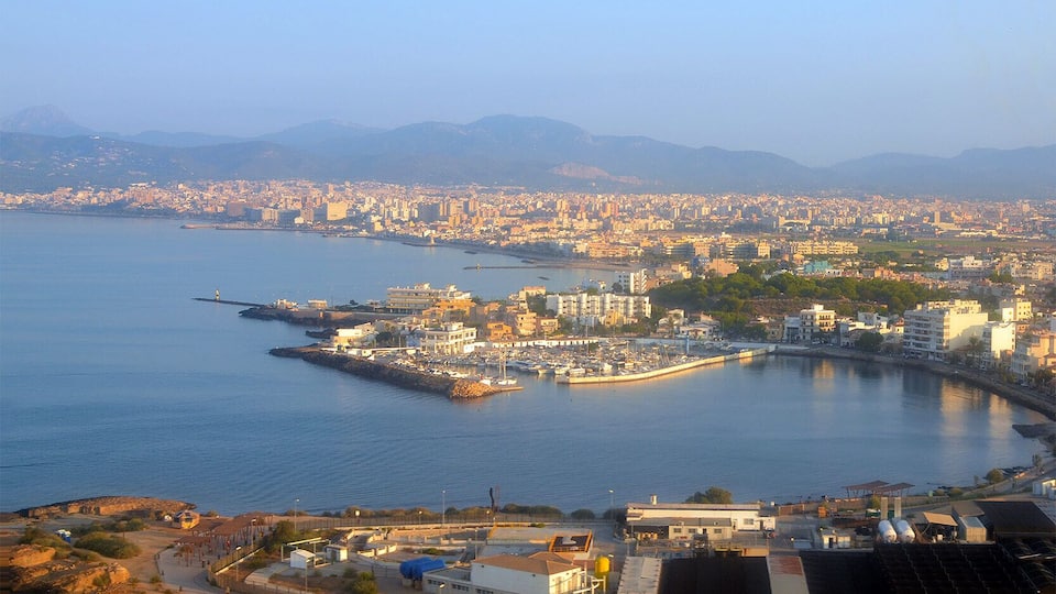 Пальма - вид с моря