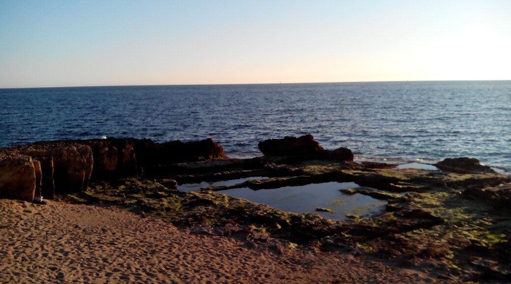 Canteres de marรจs