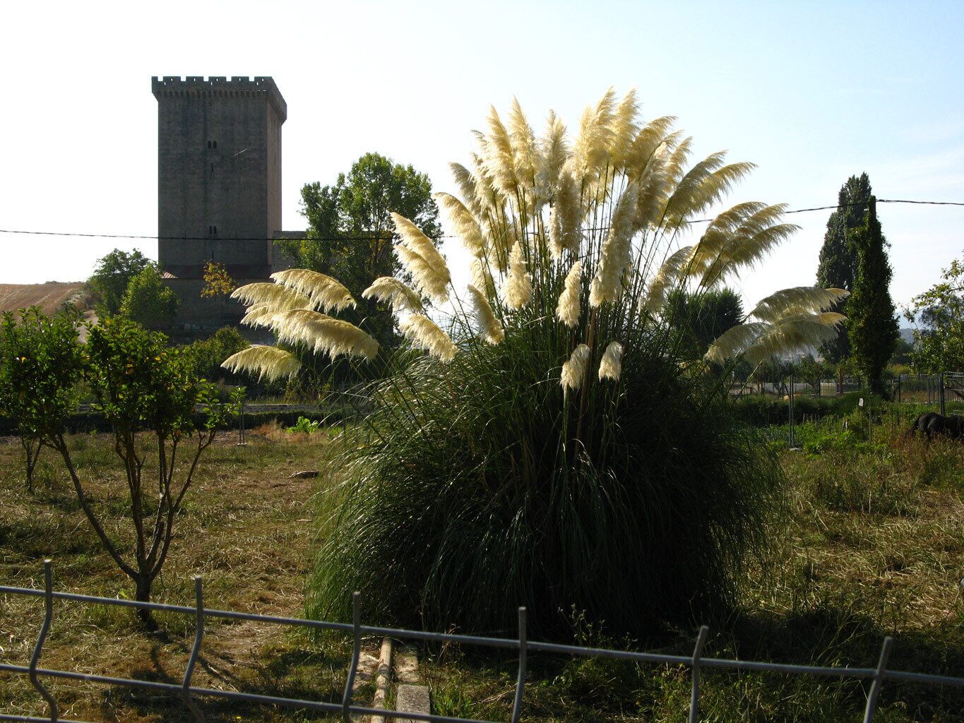Torre-Palacio del Conde de Orgaz, Fontecha, Lantarón, Alava, País Vasco (BIC=RI-51-0005123).
