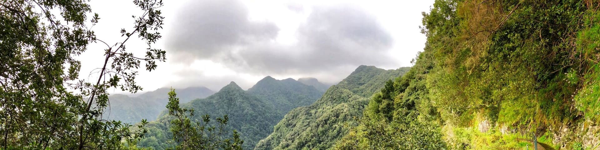 PR18 Rei Levada Walk in Sao Jorge, Madeira Island. Fabulous walk, some vertigo moments, but worth it!