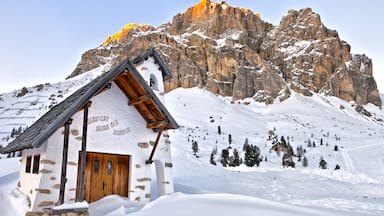 A snow-covered mountain hut with a wooden door and stone walls, surrounded by snow and trees.