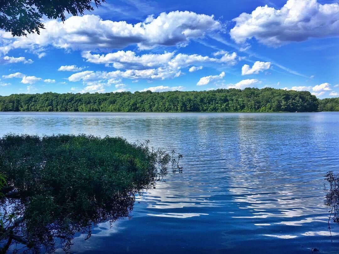 Bike, run, walk, fish, row. Burke Lake has a multitude of activities and is a gentle surprise when you begin to walk along the lake's edge and see how easy, and how quickly, you can travel along the lake. 

The lake itself can be a mirror to the sky and the trails are quite clear. For an opportunity to get away from the city, it's well worth the trip. Locals to Fairfax County can get in free of charge while those outside of the county must pay a fee. #getoutdoors #localparks #stateparks
